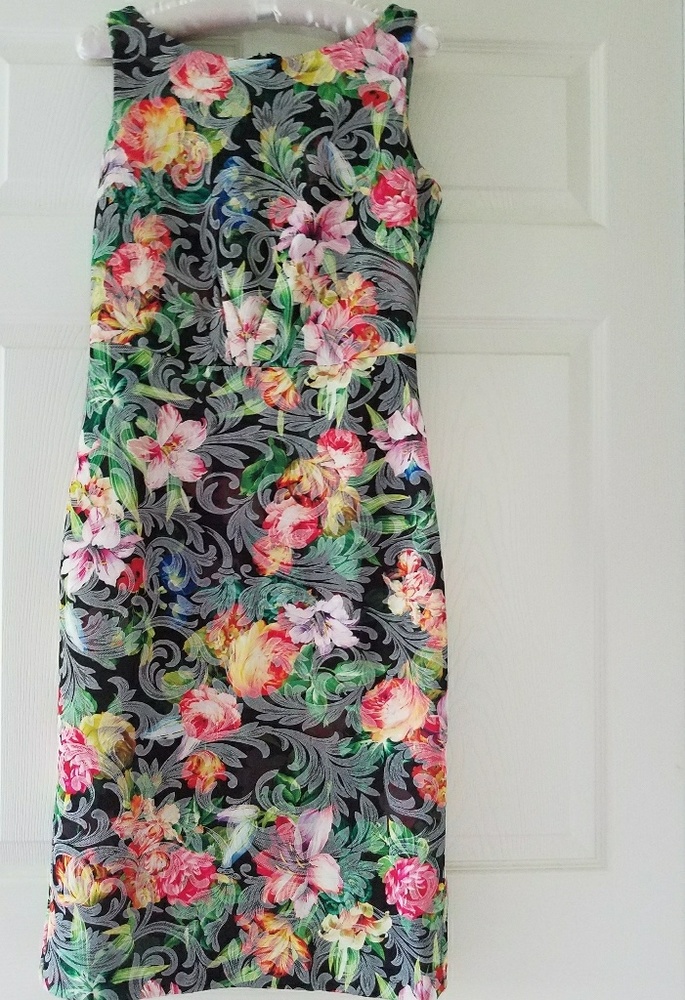 NWT Beautiful ECI Sleeveless Lace Shift Dress S